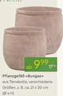 Pflanzgefäß »Bungxe« im Pflanzen Kölle Prospekt zum Preis von 9,99 €