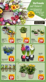 Ähnliche Geschirr Set Angebote im Prospekt "Dein Markt" von REWE in Wunstorf Ähnliche Angebote wie Geschirr Set im Prospekt "Dein Markt" auf Seite 11 von REWE in Wunstorf