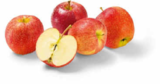 Aktuelle Äpfel Angebote bei Netto Marken-Discount in Würzburg Aktuelles Äpfel rot Angebot bei Netto Marken-Discount in Würzburg ab 1,29 €