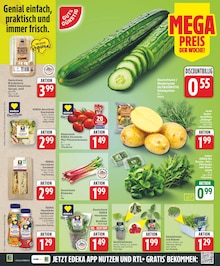 Tomaten im EDEKA Prospekt "Aktuelle Angebote" mit 19 Seiten (Berlin)