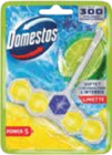 WC Stein Power 5 Angebote von Domestos bei Marktkauf Buchholz für 1,29 €