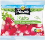 Supermarchés Match Saint-Nicolas-de-Port - Promo Radis à croquer Promo Radis à croquer à 3,75 € dans le catalogue Supermarchés Match à Saint-Nicolas-de-Port