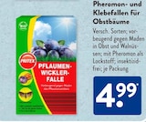 ALDI SÜD Kusel Prospekt mit  im Angebot für 4,99 €