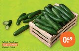 Gurken im tegut Prospekt Mini Gurken im aktuellen tegut Prospekt für 0,49 €