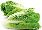 Bio Romana Salatherzen im Angebot bei REWE in Mainz Bio Romana Salatherzen Angebote von REWE Bio bei REWE Mainz für 1,79 €