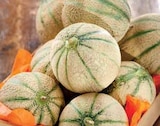 Intermarché Riom-és-Montagnes - Promo Melon charentais Promo Melon charentais à 1,99 € dans le catalogue Intermarché à Riom-és-Montagnes