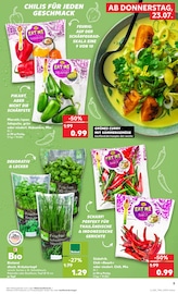Paprika im Kaufland Prospekt in Albstadt Aktueller Kaufland Prospekt mit Paprika, "Hier bin ich richtig", Seite 14