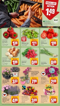 Salat im aktuellen REWE Prospekt (Frankfurt (Main)) Salat im REWE Prospekt "Dein Markt" mit 32 Seiten (Frankfurt (Main))