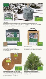 Teppich Angebot im aktuellen Pflanzen Kölle Prospekt auf Seite 12