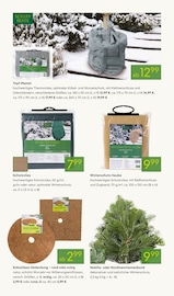 Aktueller Pflanzen Kölle Prospekt mit Mantel, "ADVENT ADVENT", Seite 12