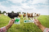 Ingwer Shot mit Apfelsaft im REWE Prospekt Ingwer Shot mit Apfelsaft von REWE Bio im aktuellen REWE Prospekt für 0,99 €