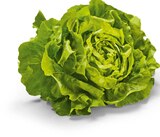 Kopfsalat Angebote bei Netto Marken-Discount Baden-Baden für 1,00 €