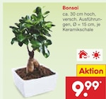 Aktuelle Bonsai Angebote bei Netto Marken-Discount in Mannheim Aktuelles Bonsai Angebot bei Netto Marken-Discount in Mannheim ab 9,99 €