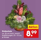 Grabschale im Angebot bei Netto Marken-Discount in Bochum Grabschale Angebote bei Netto Marken-Discount Bochum für 8,99 €