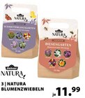 NATURA BLUMENZWIEBELN Angebote von Dehner bei Dehner Garten-Center Unna für 11,99 €
