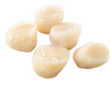 MSC Kammmuschelfleisch von pro trace für 42,71 € bei METRO im Angebot MSC Kammmuschelfleisch von pro trace im aktuellen METRO Prospekt