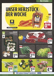 Aktueller E center Prospekt mit Garten, "Wir lieben Lebensmittel!", Seite 9