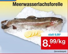 Zimmermann Nordhorn - Meerwasserlachsforelle Meerwasserlachsforelle Angebot bei Zimmermann Nordhorn im Prospekt Mehr als Du denkst!