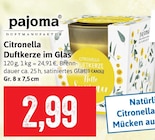 Citronella Duftkerze im Glas Angebote von pajoma bei Kaufhaus Stolz Cuxhaven für 2,99 €