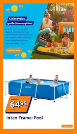 Pool im Action Prospekt in Hagen Aktueller Action Prospekt mit Pool, "kleine Preise, grosse Freude!", Seite 17