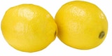 Bio Zitronen bei EDEKA im Havixbeck Prospekt für 1,79 €