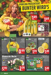 Aktueller EDEKA Prospekt mit Blumen, "Aktuelle Angebote", Seite 2