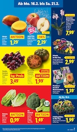 Mango Angebot & Preis im aktuellen Lidl Prospekt Mango Angebot im aktuellen Lidl Prospekt auf Seite 7