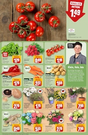 Bio Lebensmittel im REWE Prospekt in Jena Aktueller REWE Prospekt mit Bio Lebensmittel, "Dein Markt", Seite 9