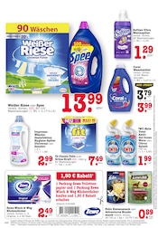 Aktueller EDEKA Prospekt mit WC, "Aktuelle Angebote", Seite 24