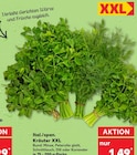 Ital./span. Kräuter XXL bei Kaufland im Troisdorf Prospekt für 1,49 €