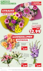 Aktueller Kaufland Prospekt mit Blumen, "KNÜLLER", Seite 17
