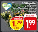 Frühlingsblüher  im aktuellen EDEKA Prospekt für 1,79 €