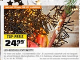 LED-Büschellichterkette bei OBI im Crailsheim Prospekt für 24,99 €