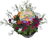 Sommerstauden Mix Angebote von Bee happy bei tegut Leinfelden-Echterdingen für 8,99 €