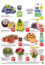 Blumen im EDEKA Prospekt in Ettlingen Aktueller EDEKA Prospekt mit Blumen, "Aktuelle Angebote", Seite 3