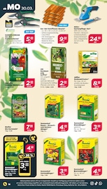 Aktueller Netto mit dem Scottie Prospekt mit Blumenerde, "Günstig. Besser. Für Dich.", Seite 22