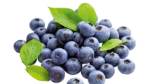 Heidelbeeren bei ALDI SÜD in München Heidelbeeren im Angebot bei ALDI SÜD München