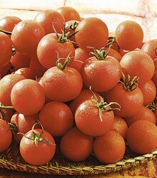 Casino Supermarchés Metz - Tomate cerise ronde bio Promo Tomate cerise ronde bio dans le catalogue Casino Supermarchés Un trésor d'anniv' à Metz