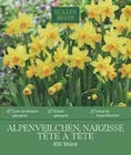 Alpenveilchen-Narzisse TĂȘte Ă TĂȘte im Pflanzen Kölle Prospekt Alpenveilchen-Narzisse TĂȘte Ă TĂȘte von im aktuellen Pflanzen Kölle Prospekt fĂŒr 9,99 âŹ