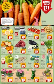 Pflanzen im REWE Prospekt in Neuss Aktueller REWE Prospekt mit Pflanzen, "Dein Markt", Seite 10