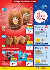 Cola im Netto Marken-Discount Prospekt in Freital Aktueller Netto Marken-Discount Prospekt mit Cola, "Aktuelle Angebote", Seite 5