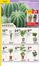 Cactus Angebote im Prospekt "À vos marques à prix LIDL !" von Lidl auf Seite 32