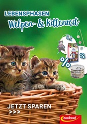 Aktueller Zookauf Dinkelsbühl Prospekt "LEBENSPHASEN - Welpen- & Kittenzeit" mit 1 Seite