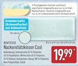 Nackenstützkissen Cool im Angebot bei ALDI Nord in Plauen Nackenstützkissen Cool Angebote von NOVITESSE bei ALDI Nord Plauen für 19,99 €
