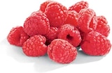Himbeeren von Driscoll's für 1,79 € bei Netto Marken-Discount im Angebot Himbeeren von Driscoll's im aktuellen Netto Marken-Discount Prospekt