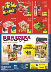 Schweinefilet im diska Prospekt in Hof Aktueller diska Prospekt mit Schweinefilet, "alles an deinem ort.", Seite 12