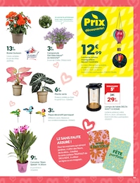 Offre Lanterne dans le catalogue Truffaut du moment à la page 3