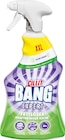 Reiniger im Netto Marken-Discount Prospekt Reiniger von Cillit Bang im aktuellen Netto Marken-Discount Prospekt für 2,99 €