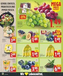 Joghurt Angebot & Preis im aktuellen EDEKA Prospekt Joghurt Angebot im aktuellen EDEKA Prospekt auf Seite 2