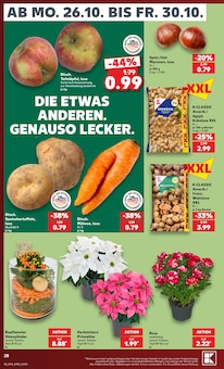 Äpfel im aktuellen Kaufland Prospekt (Hannover) Äpfel im Kaufland Prospekt "Hier bin ich richtig" mit 80 Seiten (Hannover)